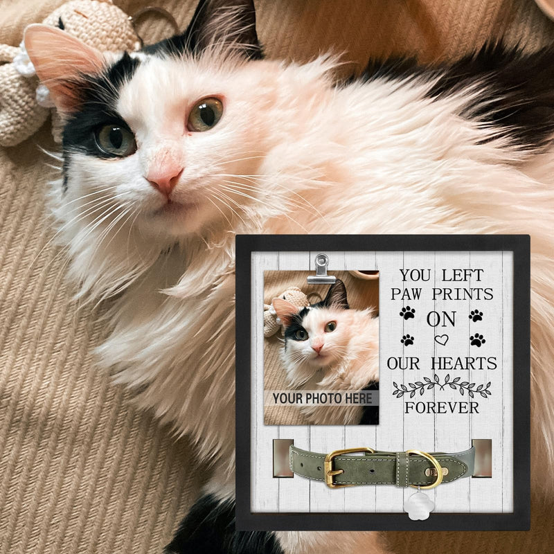Pet Loss Gift, Memorial Sympathy Gifts for Loss of Dog, Pet Memorial Frame, Cat Memorial Gift, You left paw prints - PawsPlanet Australia