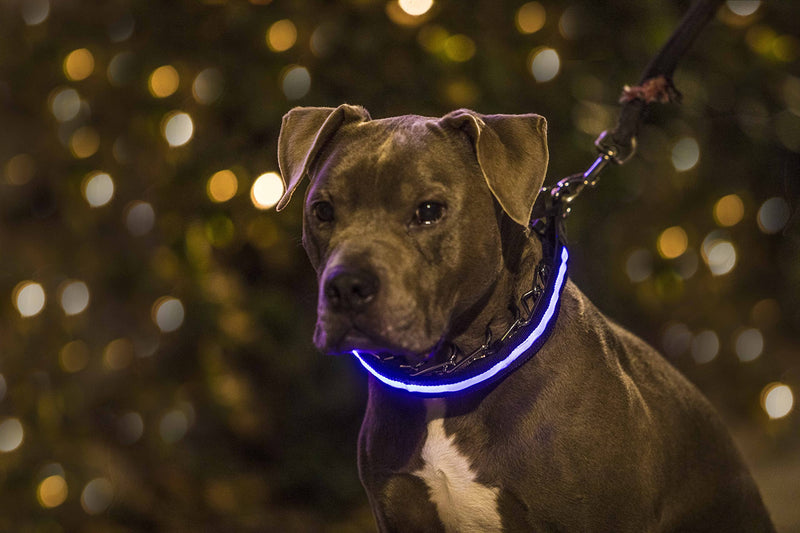 Nala’s World Dog Prong Training Collar, No Pull Pinch Safety Collar with LED Light, Comfort Tips and Quick Release Snap Buckle, for Small, Medium & Large Dogs - PawsPlanet Australia