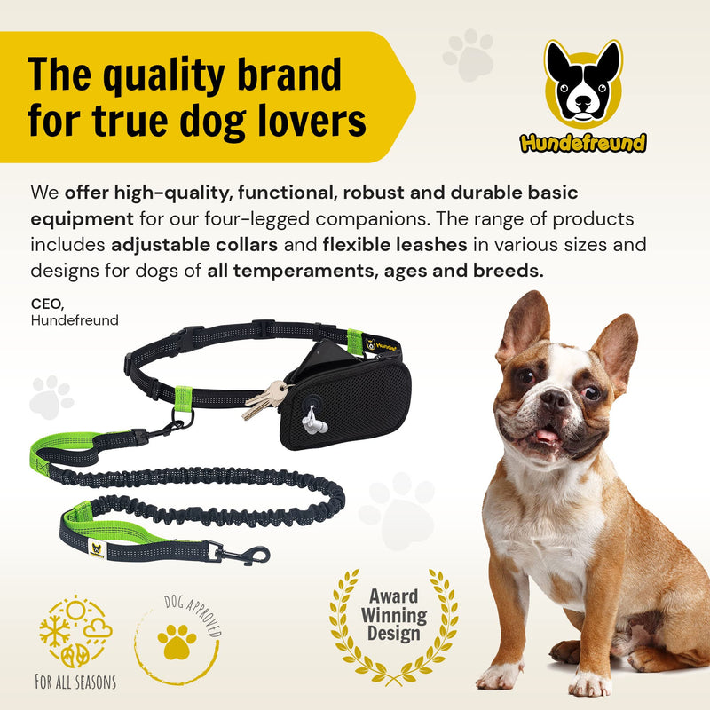 Hands Free Dog Leash for Small Dogs - Lightweight Waist Leash for Running Walking Hiking with Dogs Under 30 lbs - Adjustable Waist Belt, Pouch, Reflective Retractable Bungee, Dual Handles - PawsPlanet Australia