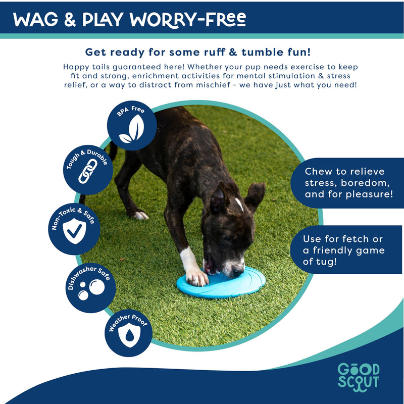 Good Scout Frisbee Dog Fetch Toy, Indoor and Outdoor Rubber Dog Toy for Medium and Large Dogs - PawsPlanet Australia