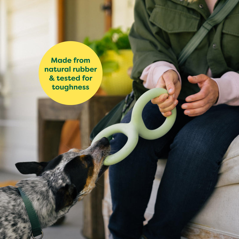 Earth Rated Tug of War Dog Toy, Interactive Pull Toy for Adult and Puppy Dogs, Ergonomic Grip, Natural Rubber, Small, Green - PawsPlanet Australia