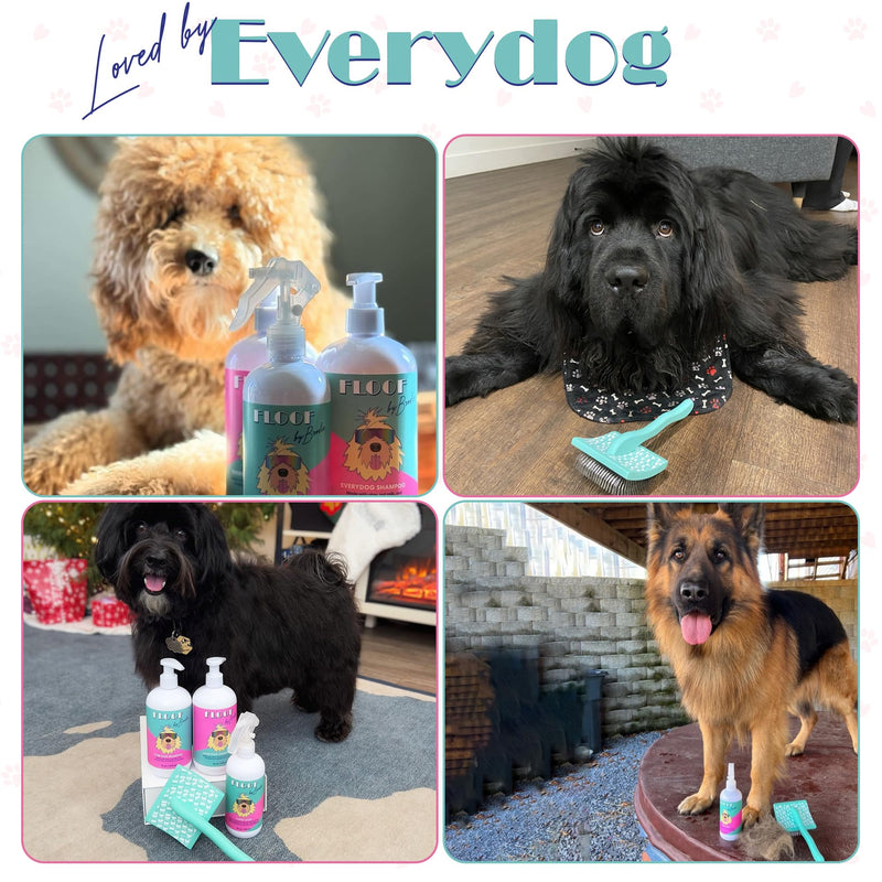 Brodie Dog Brush - Slicker Brush for Dogs - Dog Brush for Shedding and Grooming - Best Dog Brush for Long Haired Dogs and Pets - PawsPlanet Australia