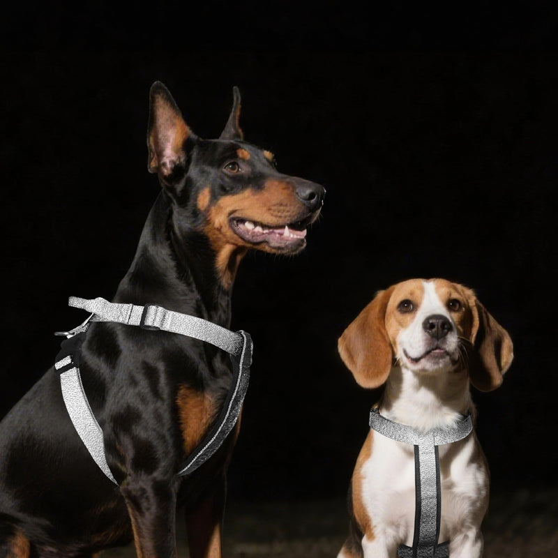 Galaxy Reflective Dog Harness,Adjustable 4-Point Fit,Anti-Pinch Buckles,Back-Clip Control & Emergency Handle,Velvet Lined for Small, Medium and Large Dogs, (Pink, L) L (Chest 31’’-39’’) Pink - PawsPlanet Australia