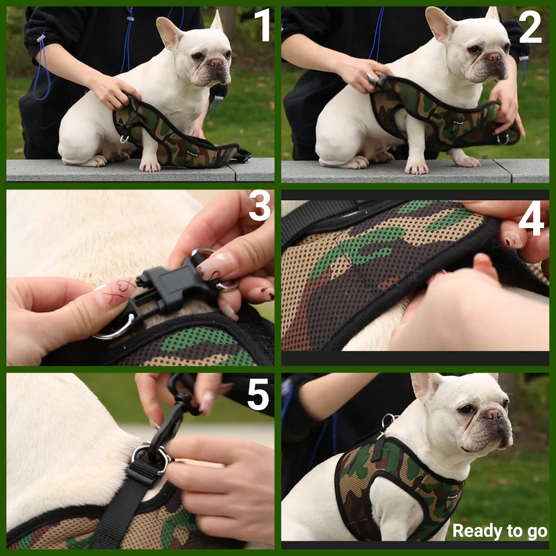 Mr. Peanut's PupTrek Small Dog/Cat Soft Mesh Step in Harness Vest (Small, Blue) - PawsPlanet Australia