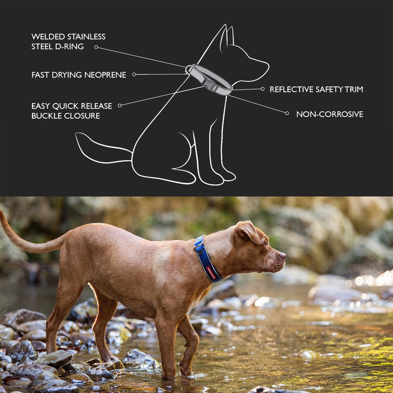 EzyDog Neo Classic Wide Neoprene No Stink Waterproof Dog Collar for Large Dogs - Reflective for Nighttime Safety and Padded for Comfort - Superior Durability and Easy to Clean (XXX-Large, Black) XXX-Large - PawsPlanet Australia