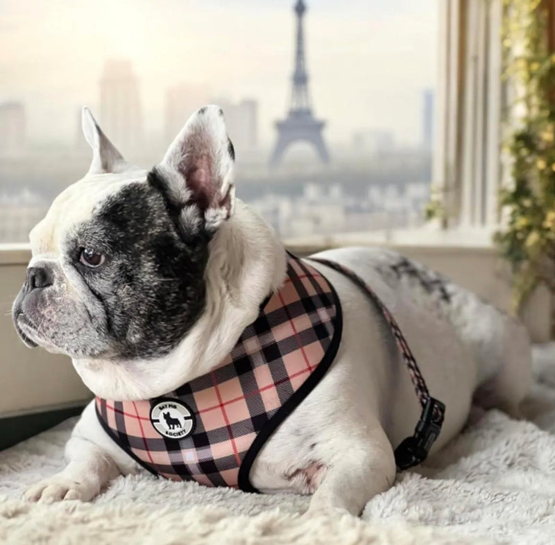 Classic Plaid Reversible Harness & Leash Set(M), Medium, Cream M - PawsPlanet Australia