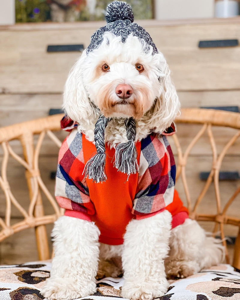 Fitwarm Dog Plaid Shirts Doggie Clothes Puppy Hoodies Cat Hooded T Shirts Pet Outfits Cotton Orange Large