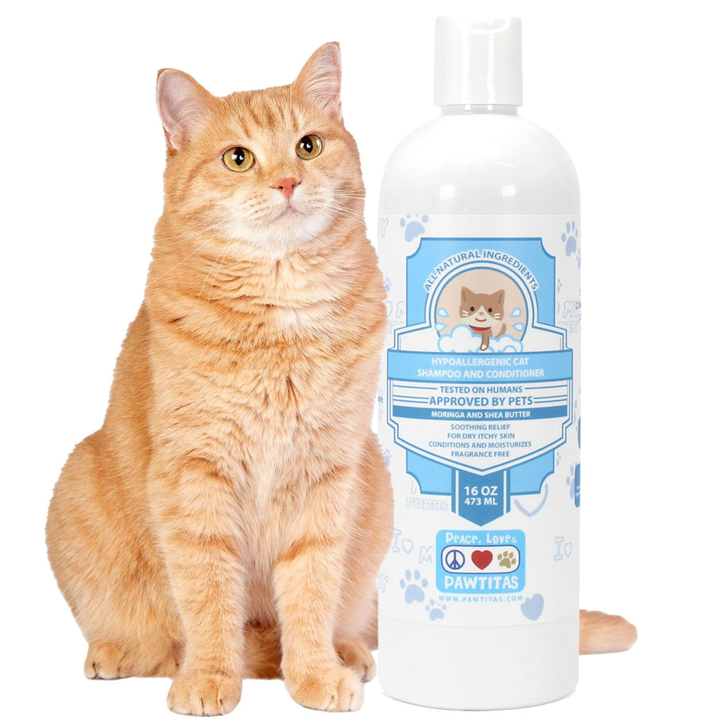 Pawtitas Cat Shampoo Natural Cat Grooming Supplies Shampoo for Cats Fragrance Free Shampoo Kitten Shampoo Organic Oatmeal - 16 Fl Oz Shampoo for Cats