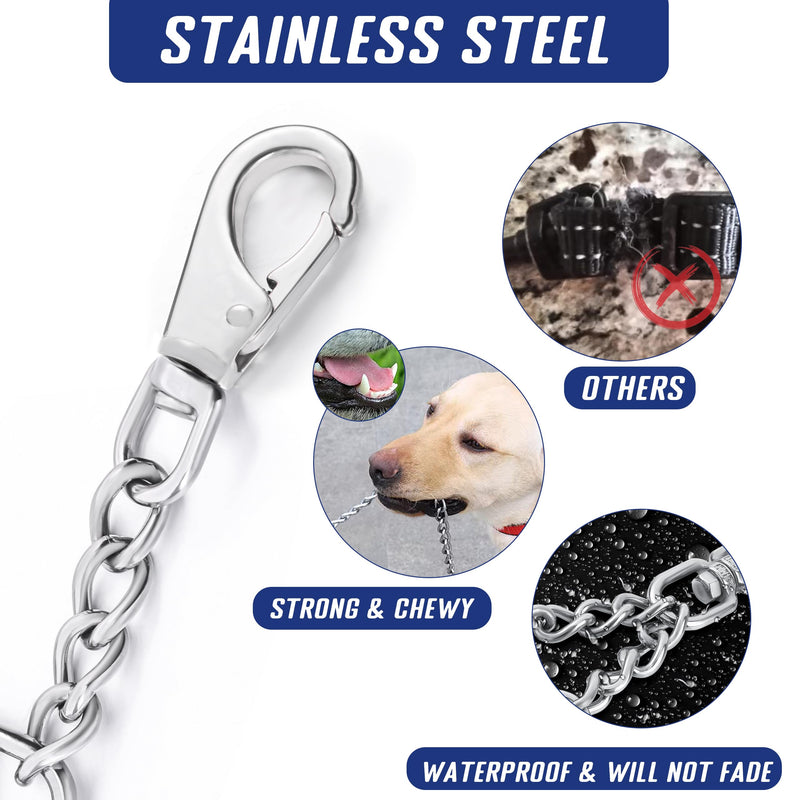 Leash Backup with Dual Clasps Prong Collar Safety Clip Stainless Steel Dog Safety Clip Collars and No Pull Harness Connectors - PawsPlanet Australia