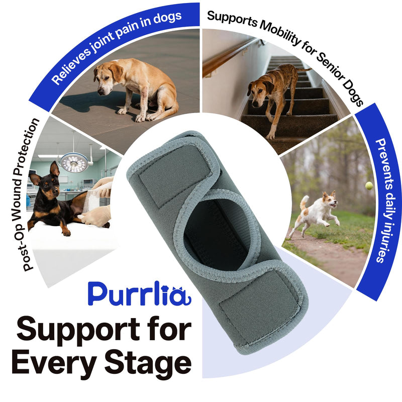 1 Pcs Dog Leg Braces, Hock Joint Brace with Two Support Strips, Dog Joint Wound Protector for ACL CCL Joint Injury, Grey M 1Pcs-Grey Medium