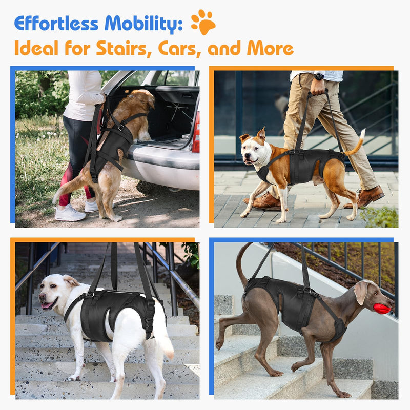 Dog Lift Harness for Large Dogs, Dog Sling for Large Dogs Hind Legs, Dog Back Legs Support Harness Lifting with Handles Dog Hip Support Brace Help for Arthritis Weak Legs Injuries Mobility - PawsPlanet Australia