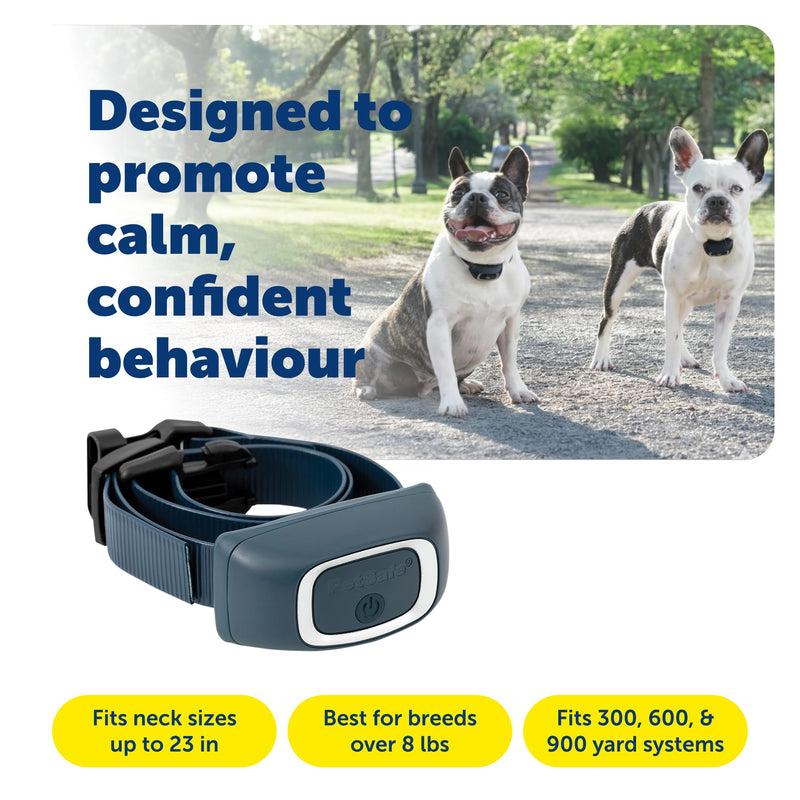 PetSafe Pro Trainer Add-A-Dog Collar - Waterproof & Rechargeable Remote Behavior Training Collar - Double Pairing Compatible for Multi-Pet Households - Small/Medium Little Dog (Lite) - PawsPlanet Australia