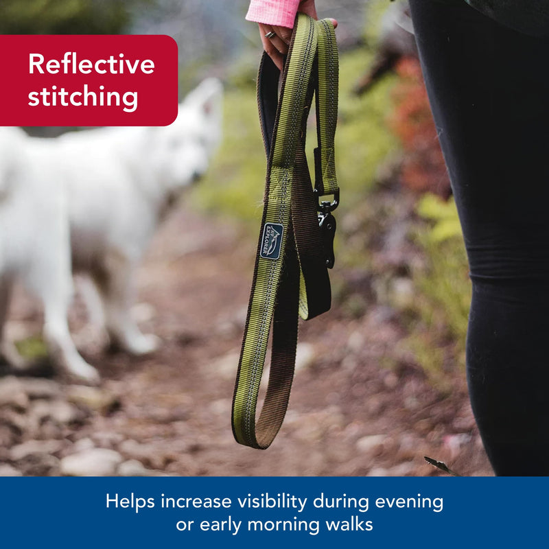 Coastal Pet K9 Explorer Reflective Dog Leash with Scissor Snap - Durable Nylon Leash - Leashes for Dogs & Puppies - Pet Supplies for Dogs - Fern, 1" x 6' 1" x 6' (Pack of 1) - PawsPlanet Australia