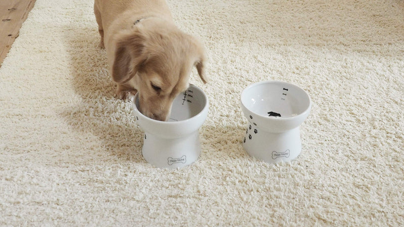 Necoichi Raised Dog Bowl Food Bowl