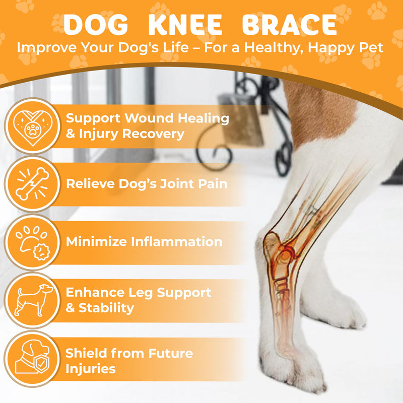 New Dog Knee Brace for Luxating Patella, ACL or Cruciate Ligament Injury Recovery, Osteoarthritis, Hip Dysplasia, or Arthritis Pain Relief, Flexible Spring Support (Large) Large