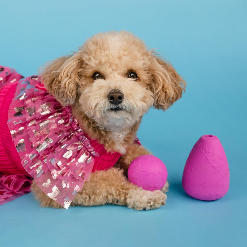 Doggy Parton Ruffle Sweater Skirt Set for Dogs - X-Large - PawsPlanet Australia