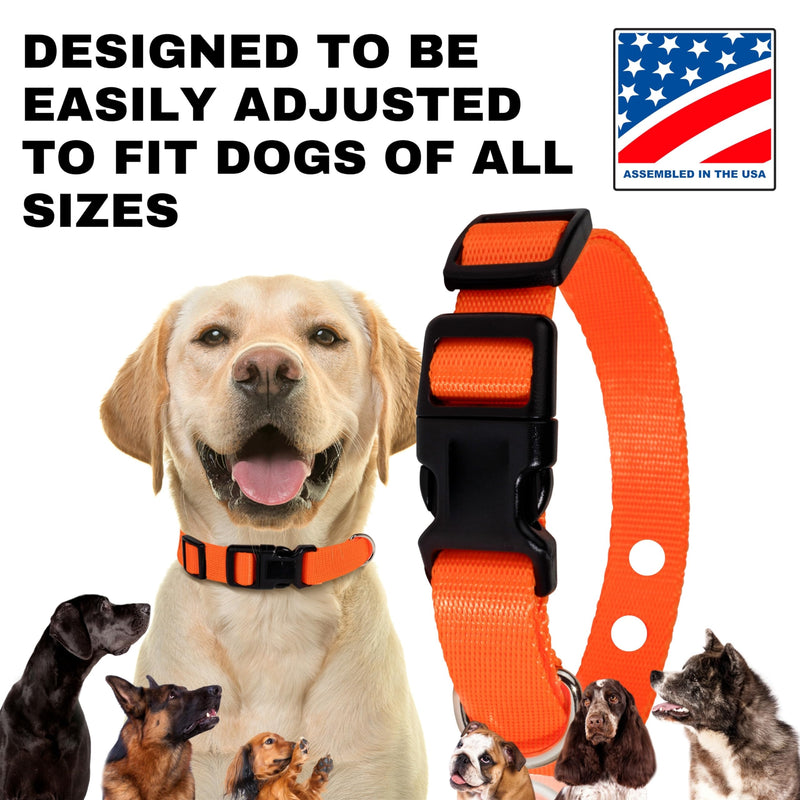 3/4" ECollar Replacement Strap, Shock Collar Replacement Collar, Compatible with Pet Safe, Invisible Fence (3/4" Pink) 3/4" - PawsPlanet Australia