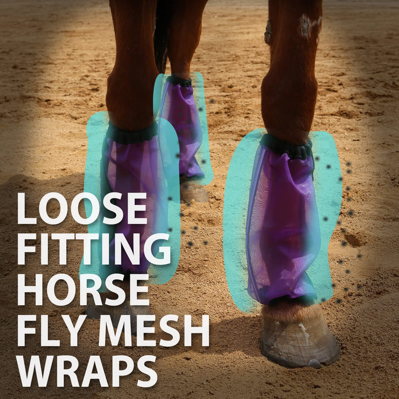 Universal Size Horse Leggings Fine Mesh Horse Fly Boots Greatly Reduce Stomping Breathable Horse Boots Leg Wraps (Set of 4) Purple - PawsPlanet Australia