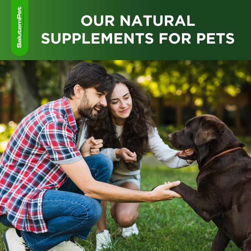 Natural Antibiotics for Dogs | Dog Antibiotics | Supports Dog Allergy Relief | Dog Itch Relief | Dog Allergy Support | Dog Multivitamin | Pet Antibiotics | Dog Antibiotics | 2 Oz Chicken - PawsPlanet Australia