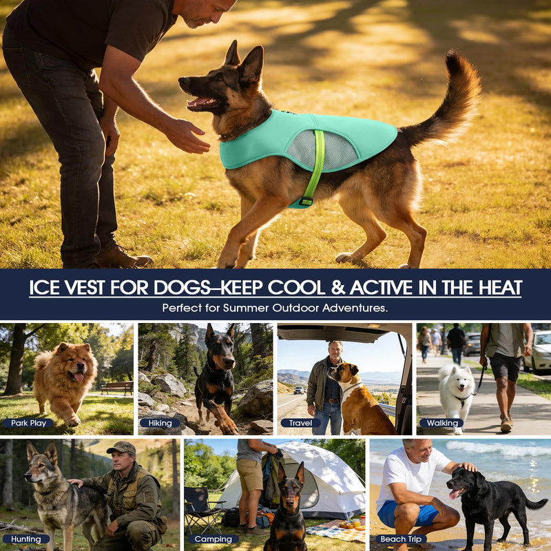IECOii Dog Cooling Vest with Leash Ring for Summer, Reflective Breathable Dog Cooler Shirt, Adjustable Cooling Jacket Pet Outdoor Harness for Walking, Hiking, Beach, Turquoise, Size M Medium