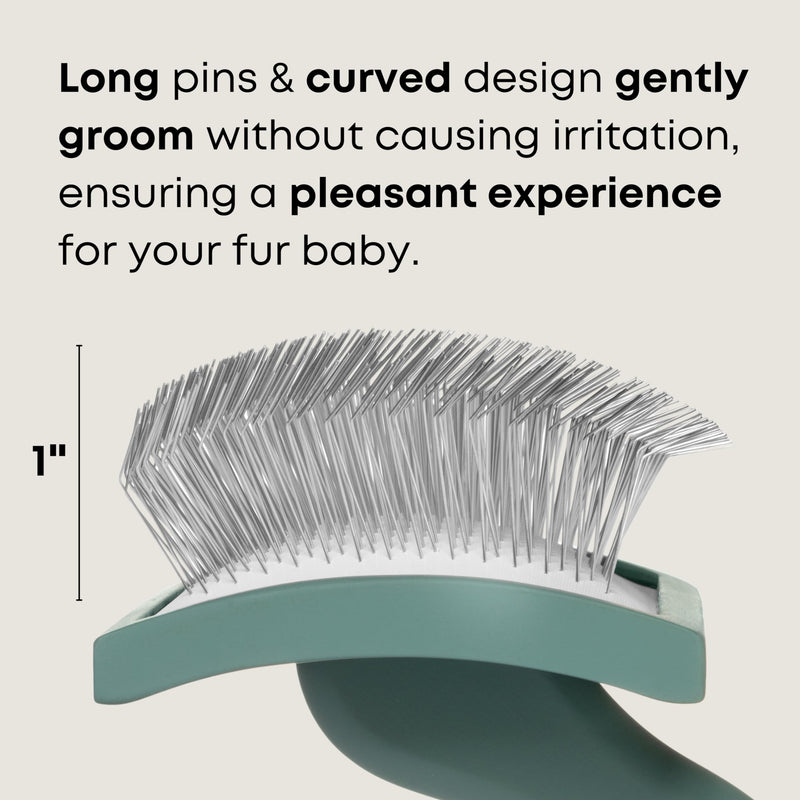 Freshly Bailey Doodle Brush for Goldendoodle, Poodle, and Labradoodle Coats - Best Slicker for Dogs With Wavy & Curly Hair - Detangle & Fluff Like a Pro - Grooming Must Haves (Large) Large