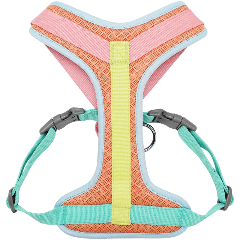Blueberry Pet Vibrant Mesh Padded Ultra Cool Lightweight Dog Harness Vest in Coral, Small, Neck 15¾", Chest 14¾"~21" - PawsPlanet Australia