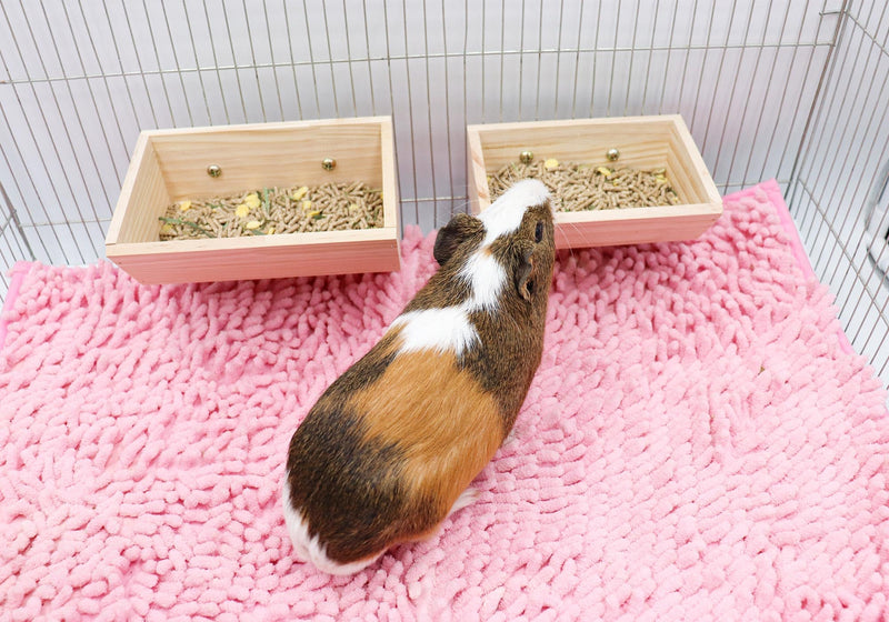 2 Pcs Guinea Pig Feeder Box, Wooden Small Animal Food Feeder, Hanging Rabbit Food Bowl, Small Animal Cage Accessories, Suitable for Rabbit Bunny Chinchilla Guinea Pig Hamster - PawsPlanet Australia