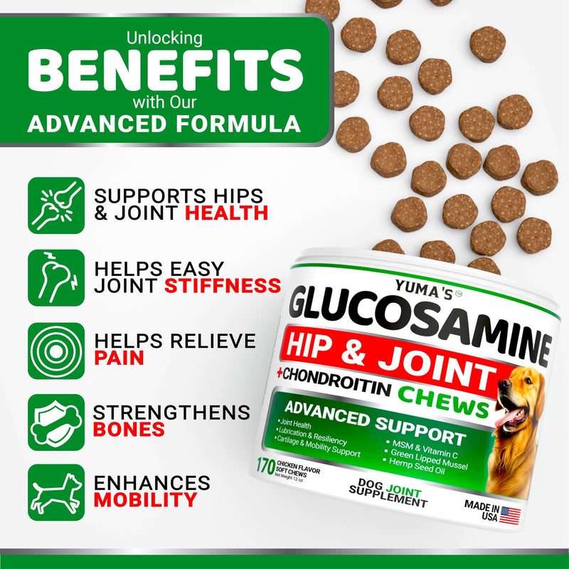 Glucosamine for Dogs - Hip and Joint Supplement for Dogs - 170 Ct - Glucosamine Chondroitin for Dogs Chews - Dog Joint Pain Relief with MSM - Advanced Dog Joint Supplement Health - Mobility Support 170 Chews