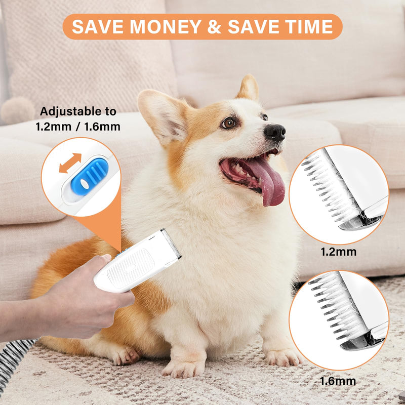 Petmolico Pet Grooming Vacuum Set for Dog 13000PA Suction Dog Vacuum Grooming Kit with 2.8L Large Cup for Shedding Grooming Include 4 Hair Clipper Combs