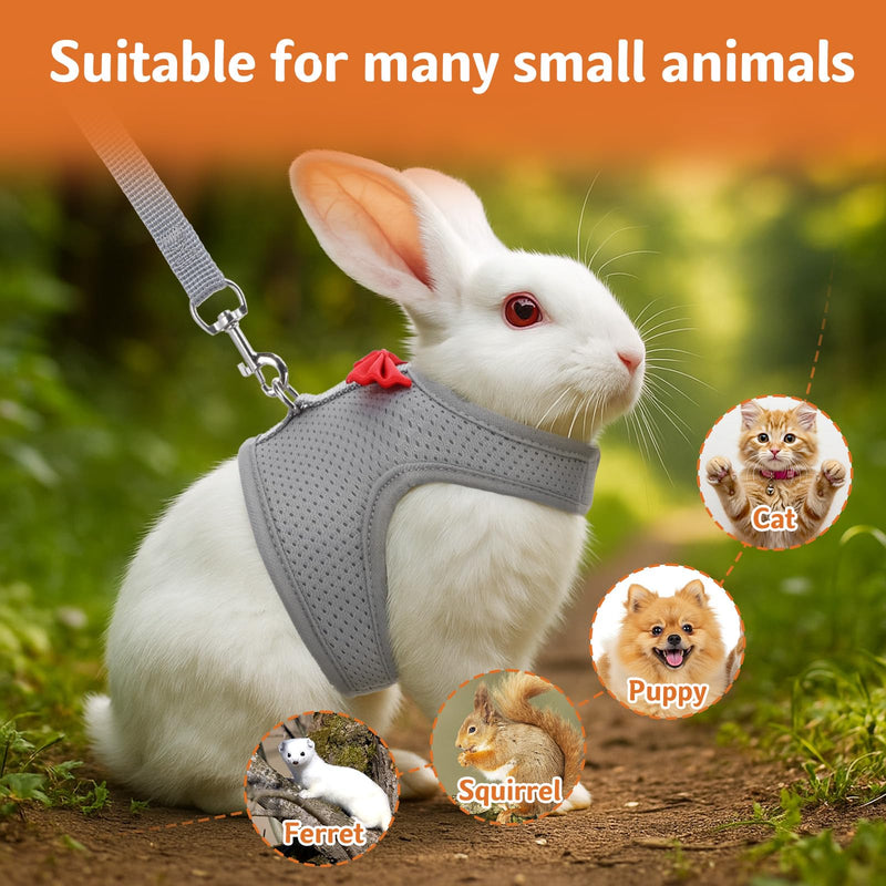 Bunny Harness and Leash Set, Soft Breathable Mesh Rabbit Leash Vest with Safety Buckles, Lightweight Escape-Proof Walking Gear for Rabbits, Kittens, Ferrets, Guinea Pigs, Grey M - PawsPlanet Australia