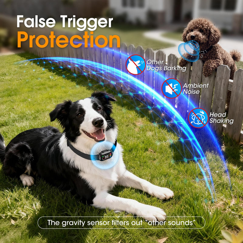 Smart Dog Bark Collar with Bark Counting for Small Medium Large Dogs 10-100lbs, Anti Barking Device with 4 Modes & 8 Levels, Adjustable Humane Training Collar for Effective Bark Control, Black - PawsPlanet Australia