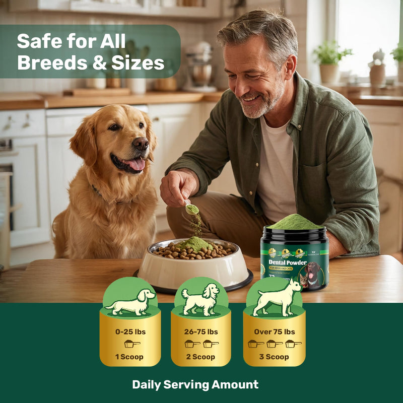 Dog Dental Powder - Plaque Off Powder - Dog Teeth Natural Cleaning Powder - Dogs Breath Freshener - Enzymes & Probiotic with Tartar and Plaque Off - Pets Tooth Cleaning- 150g/5.3 oz - PawsPlanet Australia