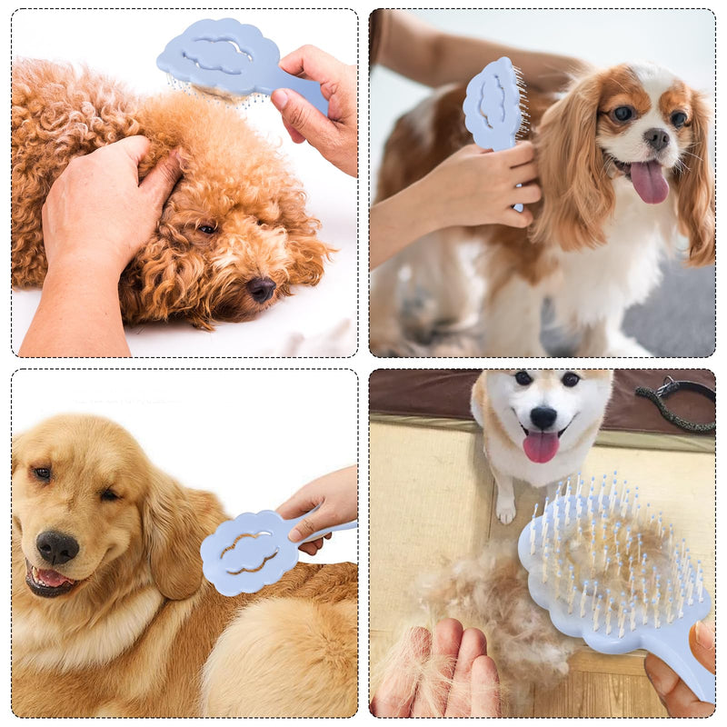 Puppy Brush for Small Dogs, Puppy Brushes for Grooming, For Combing and Detangling curly Hair, Perfect for Shih Tzu, labradoodle poodle, Yorkshire Terrier and Maltese, (Blue) - PawsPlanet Australia