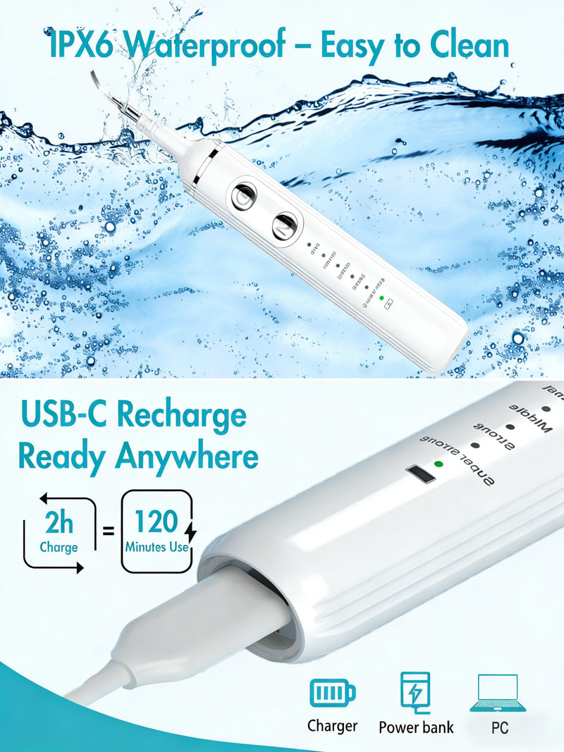 Wagner Stern Dog Plaque Remover for Teeth, Dog Toothbrush with 5 Modes & LED Light for Calculus and Stains Removal ultrasonic Pet Teeth Cleaning, Dental Care kit with 4 Heads White