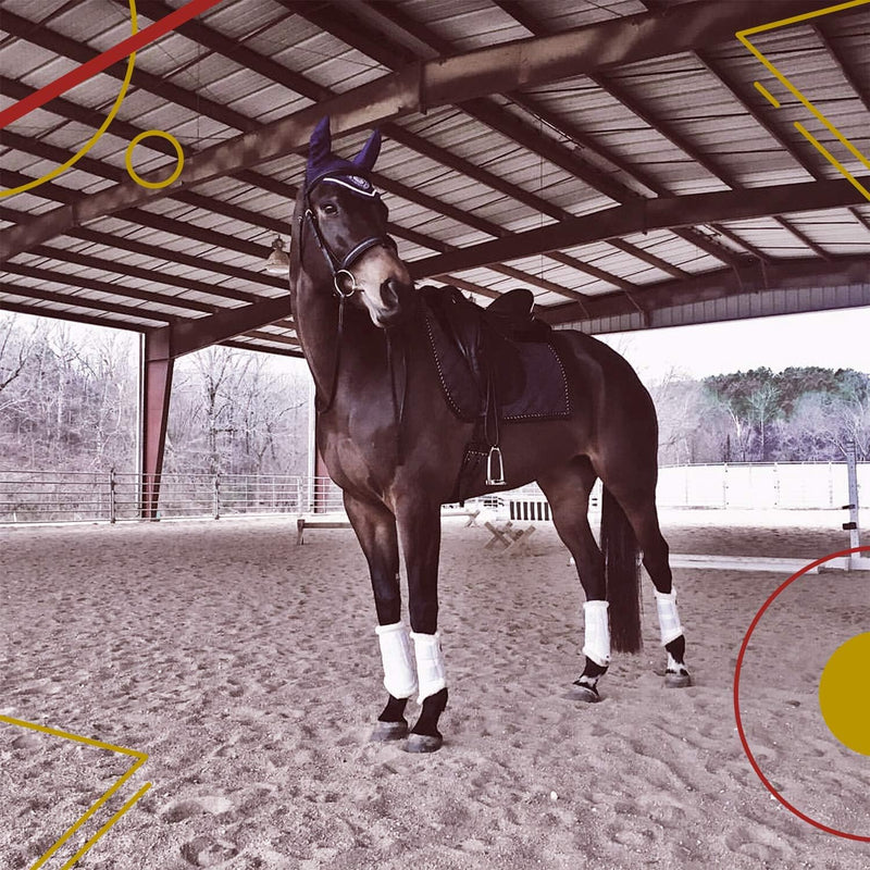 Kavallerie Classic Tendon Boots, Impact-Absorbing Material, Breathable & Evenly Distribute Pressure, Protect Tendon and Ligaments, Anti-Slip, Anti- Sore and Moisture Repellant Show Jumping Boots Support Boots(fleece), Black Medium