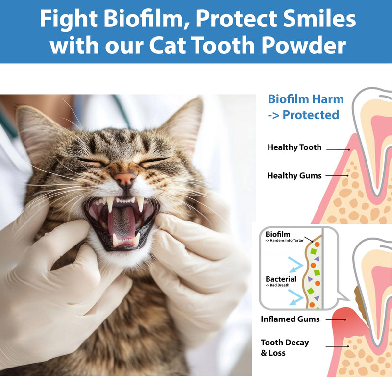 Cat Dental Care Powder Bad Breath Treatment for Cats Teeth, Mouth, Gums & Gut, Plaque Off,Tartar Control, Help Feline Gingivitis and Stomatitis, with Natural Extracts & Probiotics Cat Dental Powder - PawsPlanet Australia