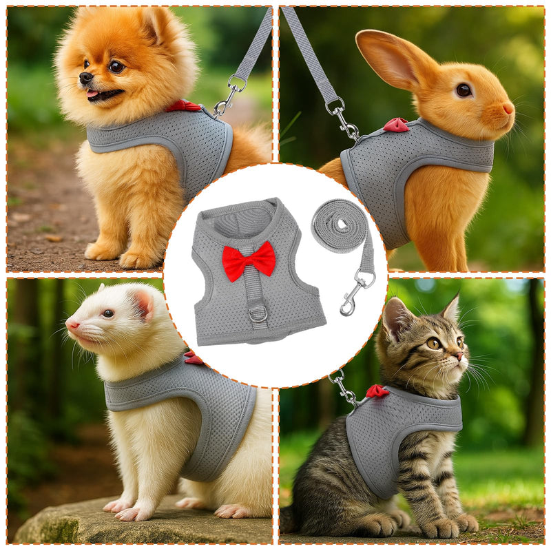 Bunny Harness and Leash Set, Soft Breathable Mesh Rabbit Leash Vest with Safety Buckles, Lightweight Escape-Proof Walking Gear for Rabbits, Kittens, Ferrets, Guinea Pigs, Grey M - PawsPlanet Australia