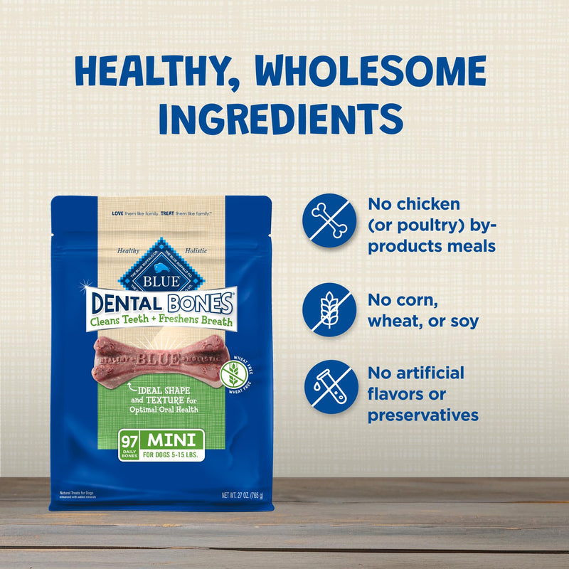 Blue Buffalo Dental Bones Mini Natural Dental Chew Dog Treats Bag Value Pack Unflavored 1.69 Pound (Pack of 1) - PawsPlanet Australia