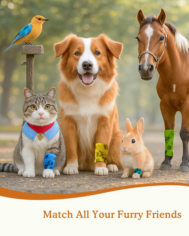 Self-Adhesive Vet Bandage Wrap, First Aid for Dogs & Horses, Multi-Use for Gear Grip & Cable Organizing, Individually Wrapped, 2 Inch, 8 Rolls, Rainbow Paw 8 Count (Pack of 1) - PawsPlanet Australia