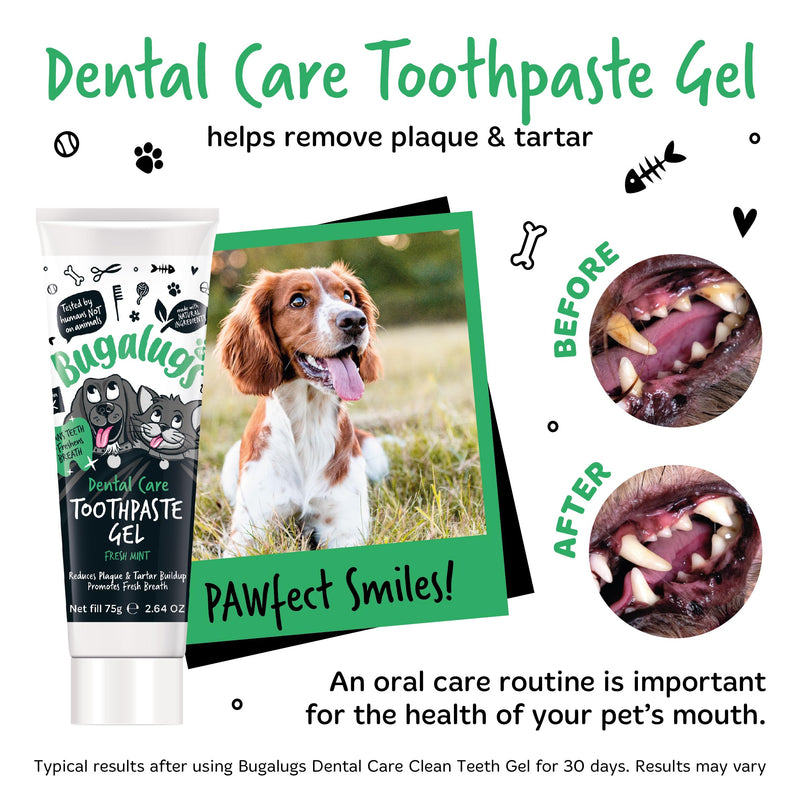 Bugalugs Dog and Cat Dental Care Kit: Toothpaste, 2 Finger Cat Toothbrushes, Dog Toothbrush for Plaque Removal and Fresh Breath 1 count (Pack of 1)