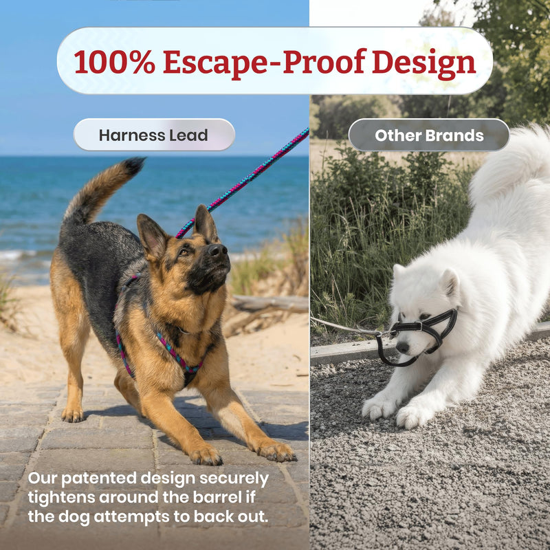 Harness Lead No Pull Dog Harness and Leash Set, No Pull Dog Harness for All Breeds and Sizes, One-Piece Padded Rope Design Prevents Escape and Pulling Medium/Large (40-170 lbs) Reef (Purple/Raspberry/Turquoise)