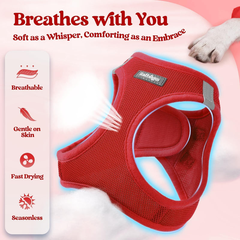 rabbitgoo Dog Harness Small Sized and Leash Set, Step in Soft Light Puppy Vest, Breathable Mesh Pet Harness, Reflective for Safe Easy Walking, Red M M (Chest: 16 - 18.5") - PawsPlanet Australia