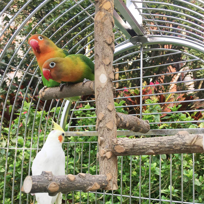 Bird Perch Nature Wood Stand for 3-4pcs Small Medium Parrots (S) S - PawsPlanet Australia