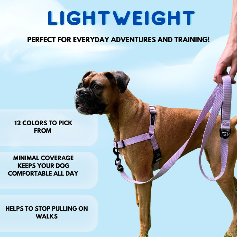 ShawnCo Dream Walk No-Pull Dog Harness- Adjustable, Comfortable, Easy to Use Pet Halter to Help Stop Pulling for Small, Medium and Large Dogs (Midnight, S) Midnight - PawsPlanet Australia