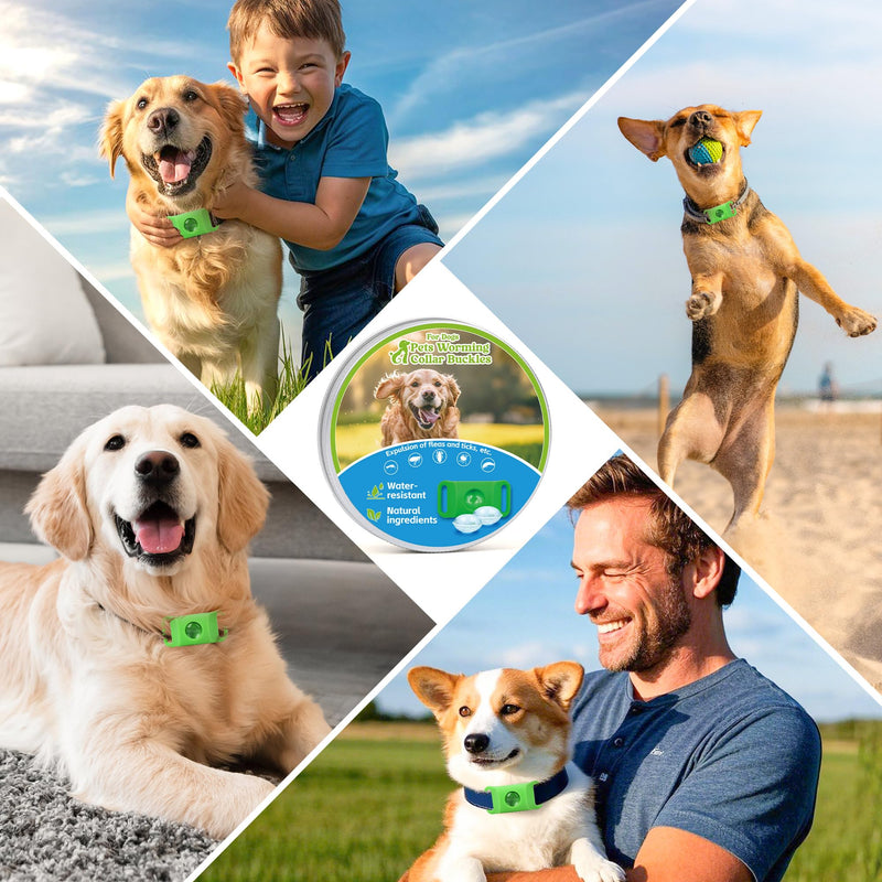 Natural Flea and Tick Prevention Dog Tag – Waterproof Collar Pendant with 2 Extra Refills, Green, Safe for All Breeds Collar Not Included green pendant+2refills - PawsPlanet Australia
