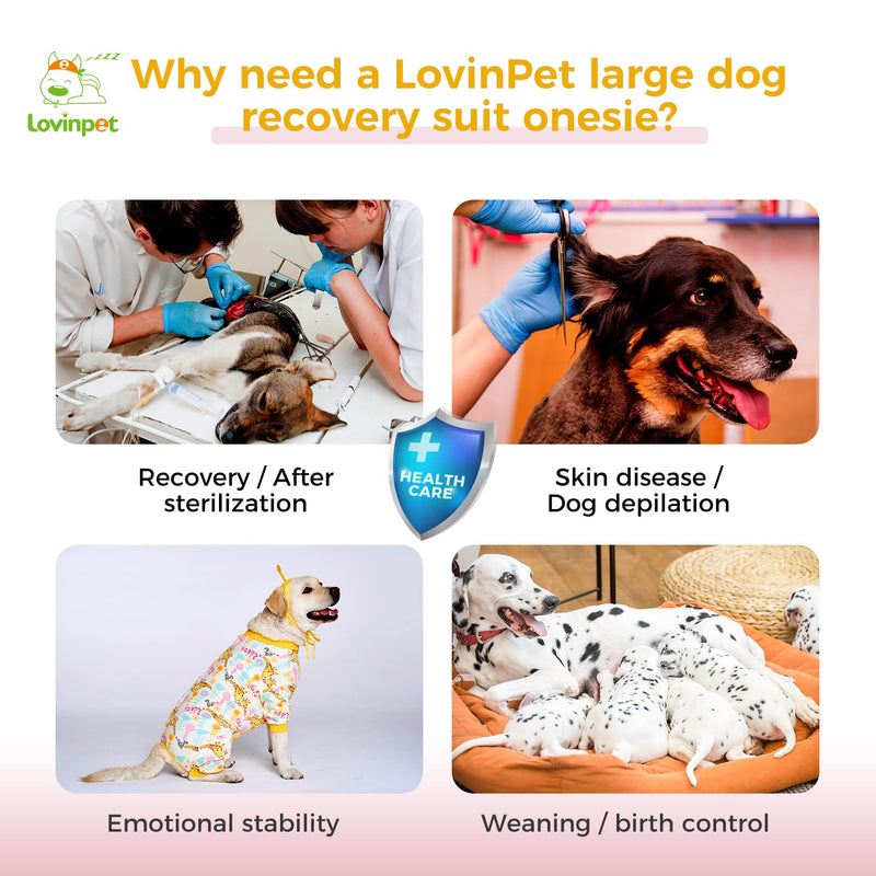 LovinPet Dog Recovery Suit - Medium Large - Professional Large Dog Recovery Suit Abdominal Wound Surgical Clothes Post-Operative Vest E-Collar Alternative Recovery,Giraffe,Yellow,3XL 3XL Yellow collar/Yellow - PawsPlanet Australia