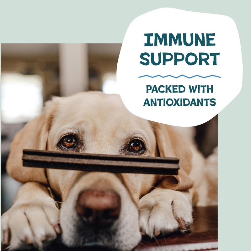 Shameless Pets Blueberry & Mint Dental Chews for Dogs, 32 Chews - Natural Dog Teeth Cleaning Treats with Fresh Breath Benefits | Grain-Free Dental Sticks for Small, Medium & Large Dogs The Tooth Berry 1.75 Pound (Pack of 1)