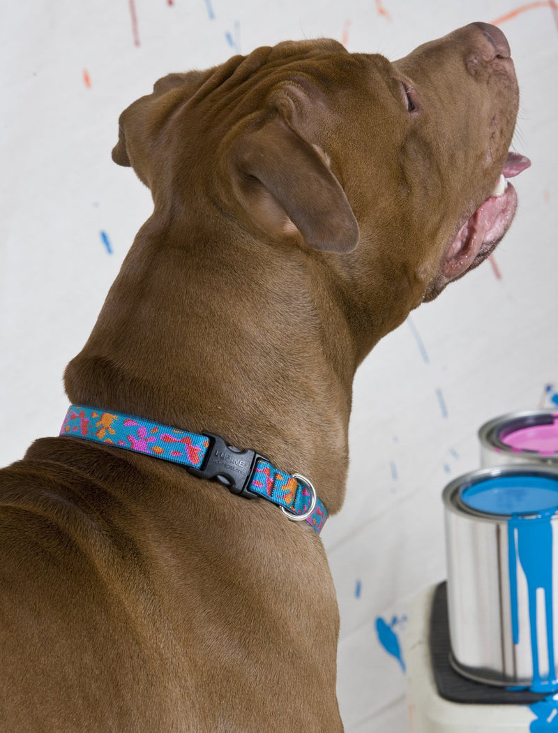 LupinePet Originals 3/4" Wet Paint 9-14" Adjustable Collar for Small Dogs 3/4"W; 9-14" Neck - PawsPlanet Australia