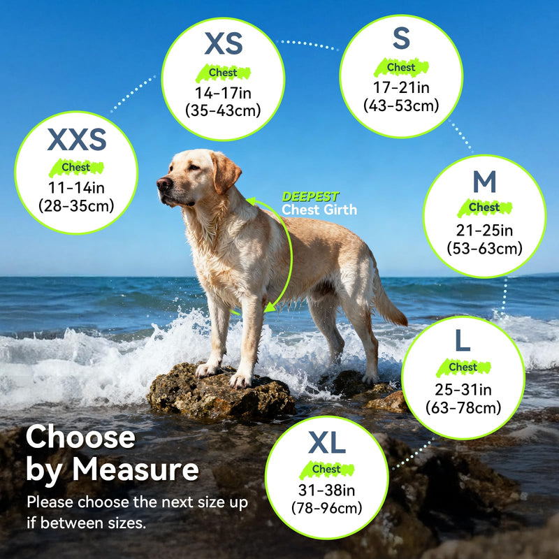 VIVAGLORY Rip Stop Dog Life Vest, Swimming Vest with Handle, Buoyancy for Doggy Puppy, Dog Life Jacket for Swimming & Boating, M, Multicolor M: 21-25 inch (Ribcage Girth)