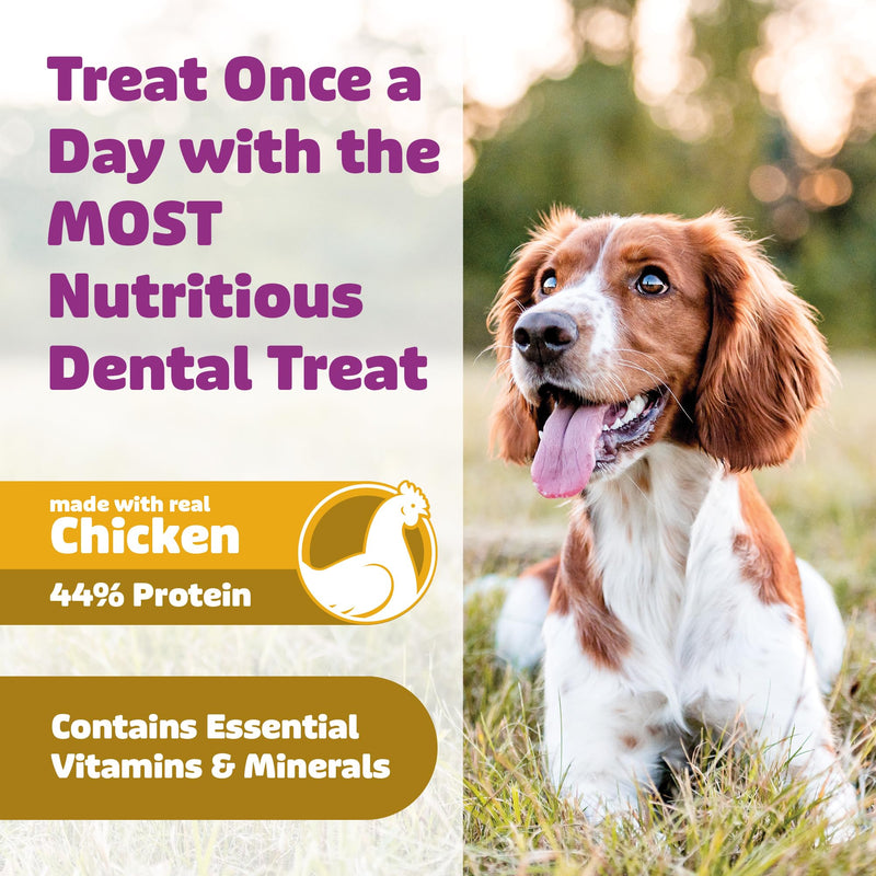 Yummy Combs Dog Dental Treats – Vet VOHC Approved – Delicious Chicken Protein – Removes Tartar with Cleaning Comb Shape – Dental Dog Treats for Large Dogs (24oz, 18 Count) 24 Ounce